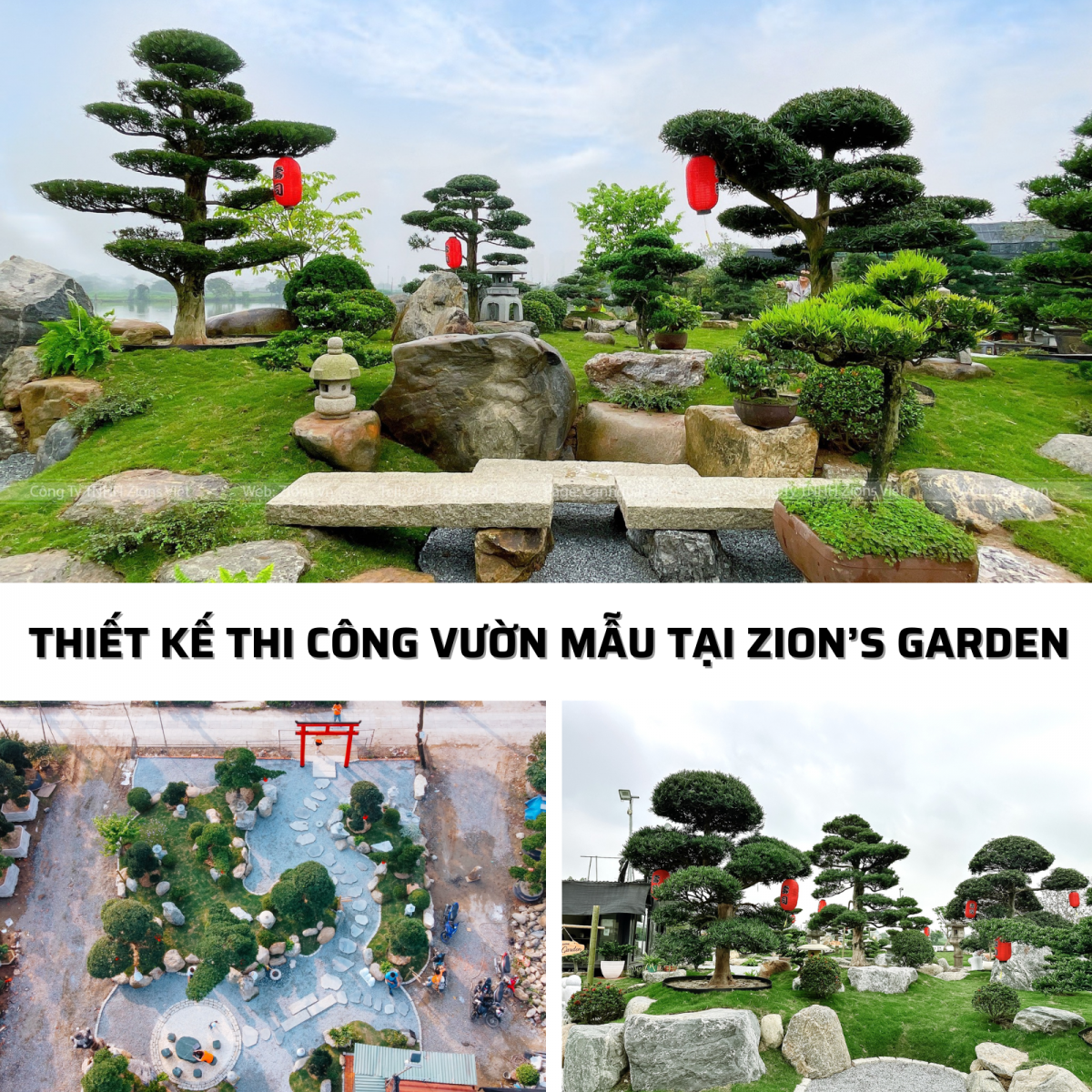 Thi công vườn mẫu tại Zion's Garden